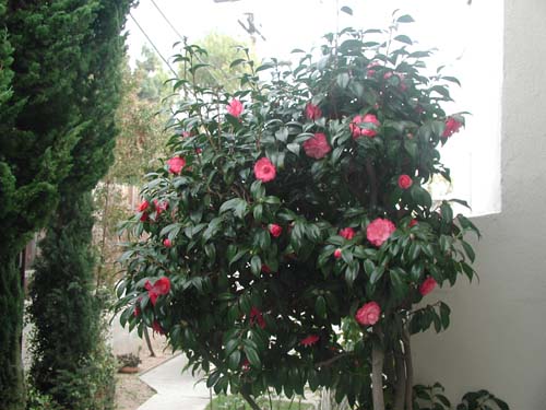P1280057
